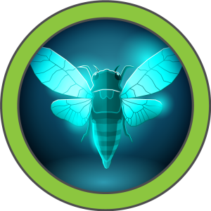 Cicada machine artwork
